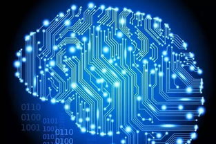 計(jì)算機(jī)科學(xué)專業(yè)分支與學(xué)位解讀